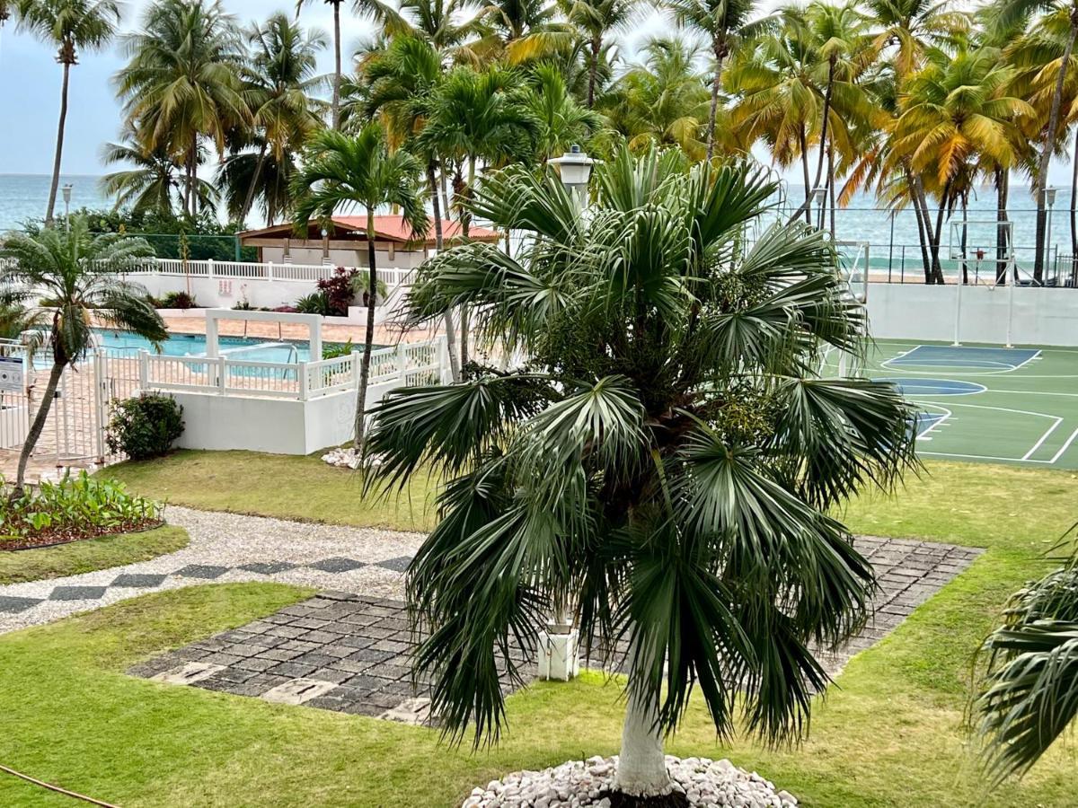 Beachfront Tropical Tantra Apartment San Juan Exteriér fotografie